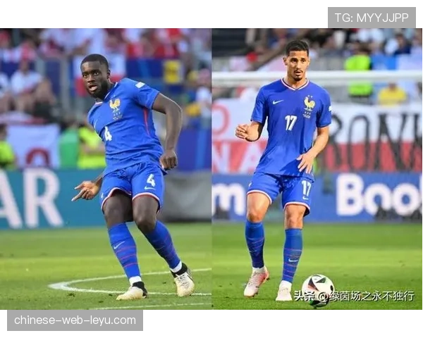 法国申办2030世界杯，法甲多座球场进入候选名单接受考察